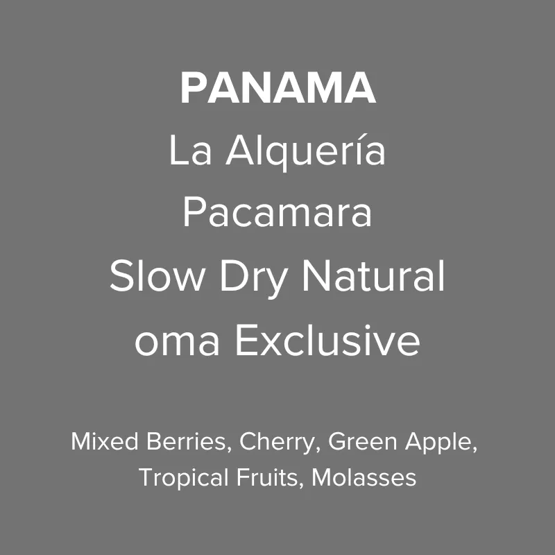 Panama Abbraccio by Altieri Finca La Alquería Pacamara Slow Dry Natural
