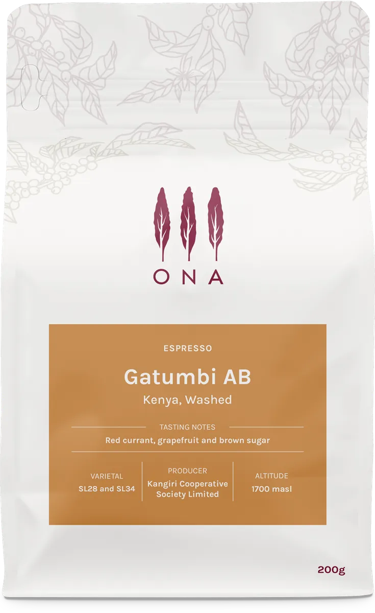 Gatumbi AB, Kenya, Washed