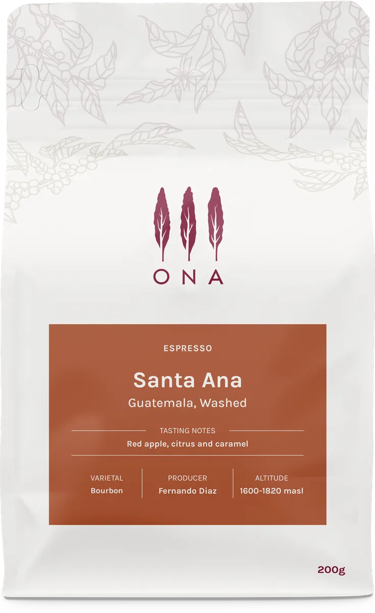 Santa Ana, Guatemala, Washed