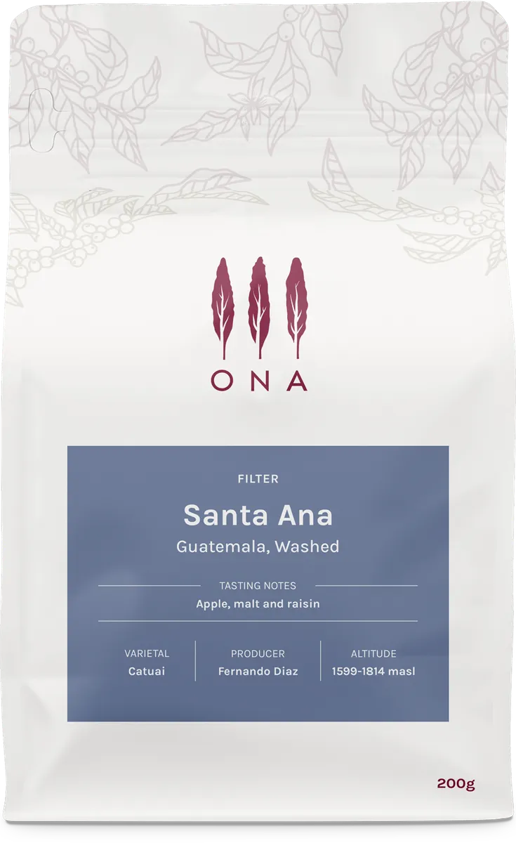 Santa Ana, Guatemala, Washed