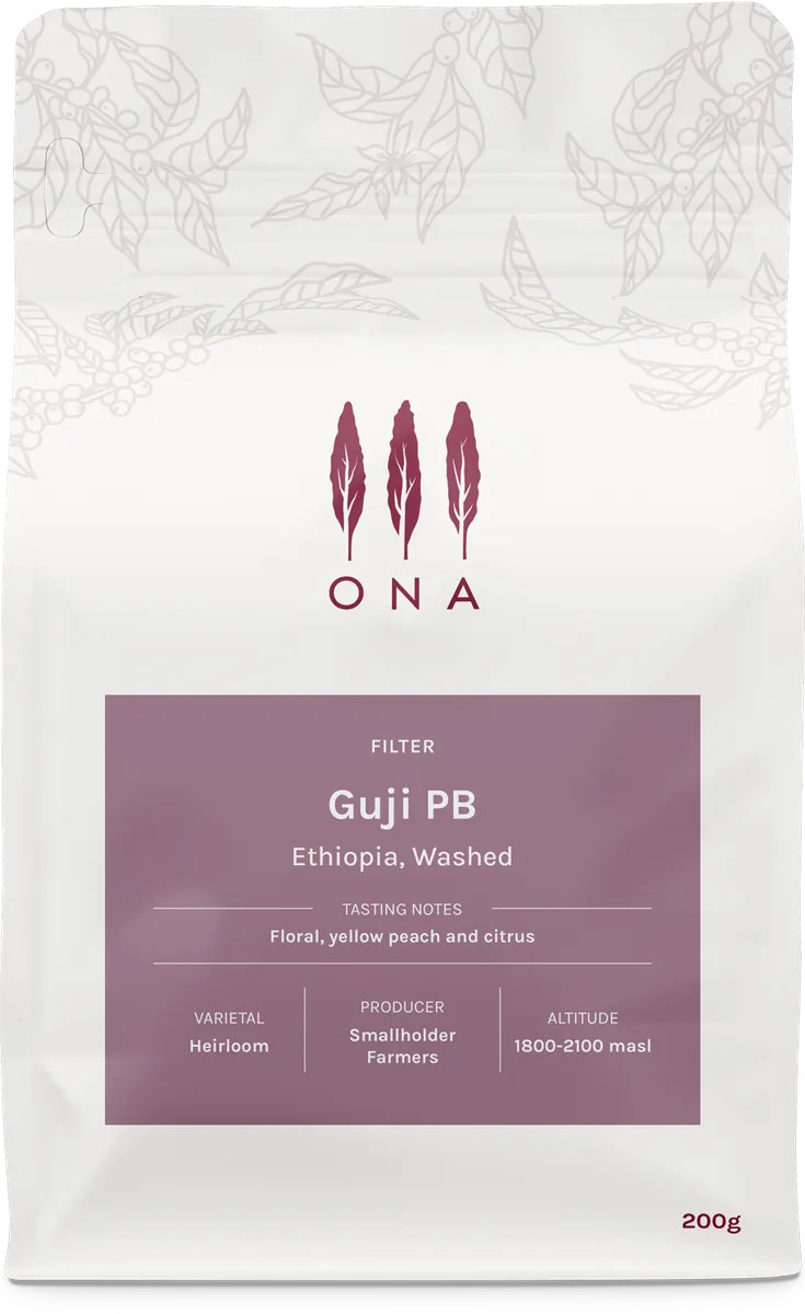 Guji PB, Ethiopia, Washed