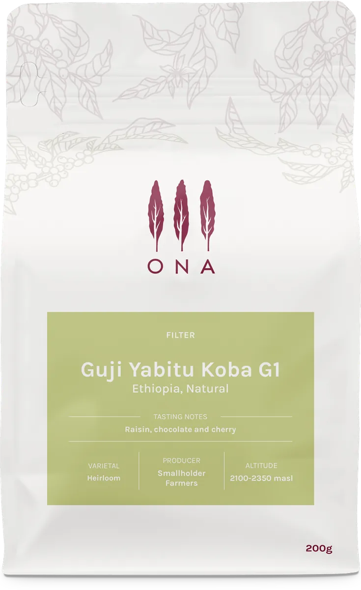 Guji Yabitu Koba G1, Ethiopia, Natural