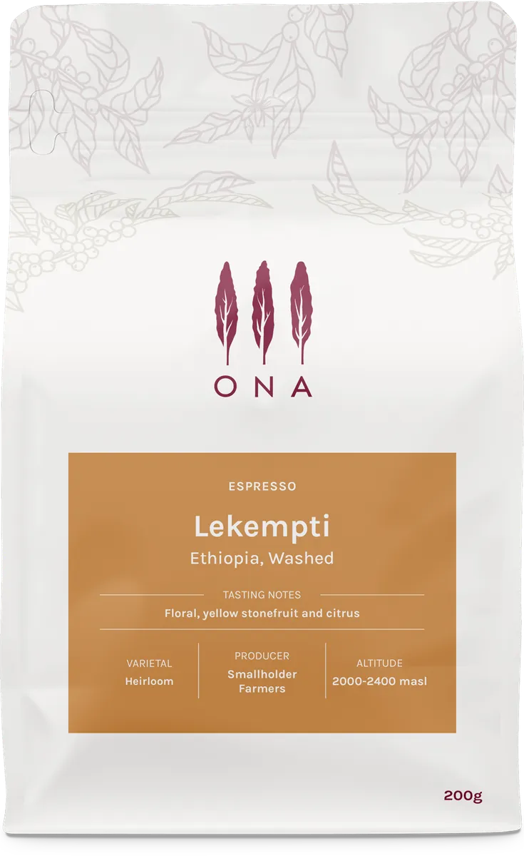 Lekempti, Ethiopia, Washed