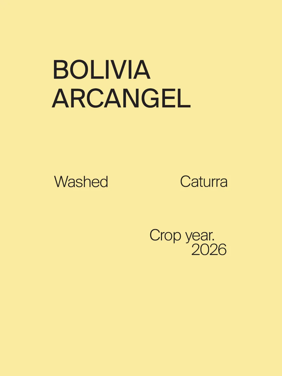 Bolivia Arcangel Caturra Washed