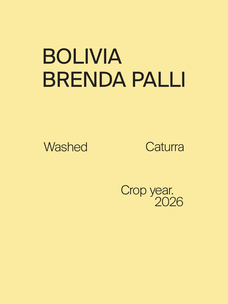 Bolivia Brenda Palli Caturra Washed