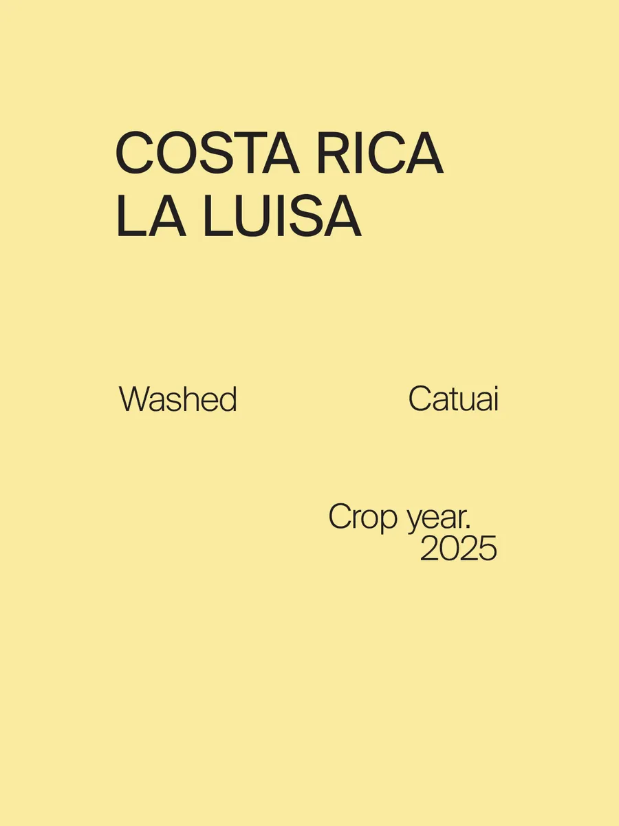 Costa Rica La Luisa Catuai Washed