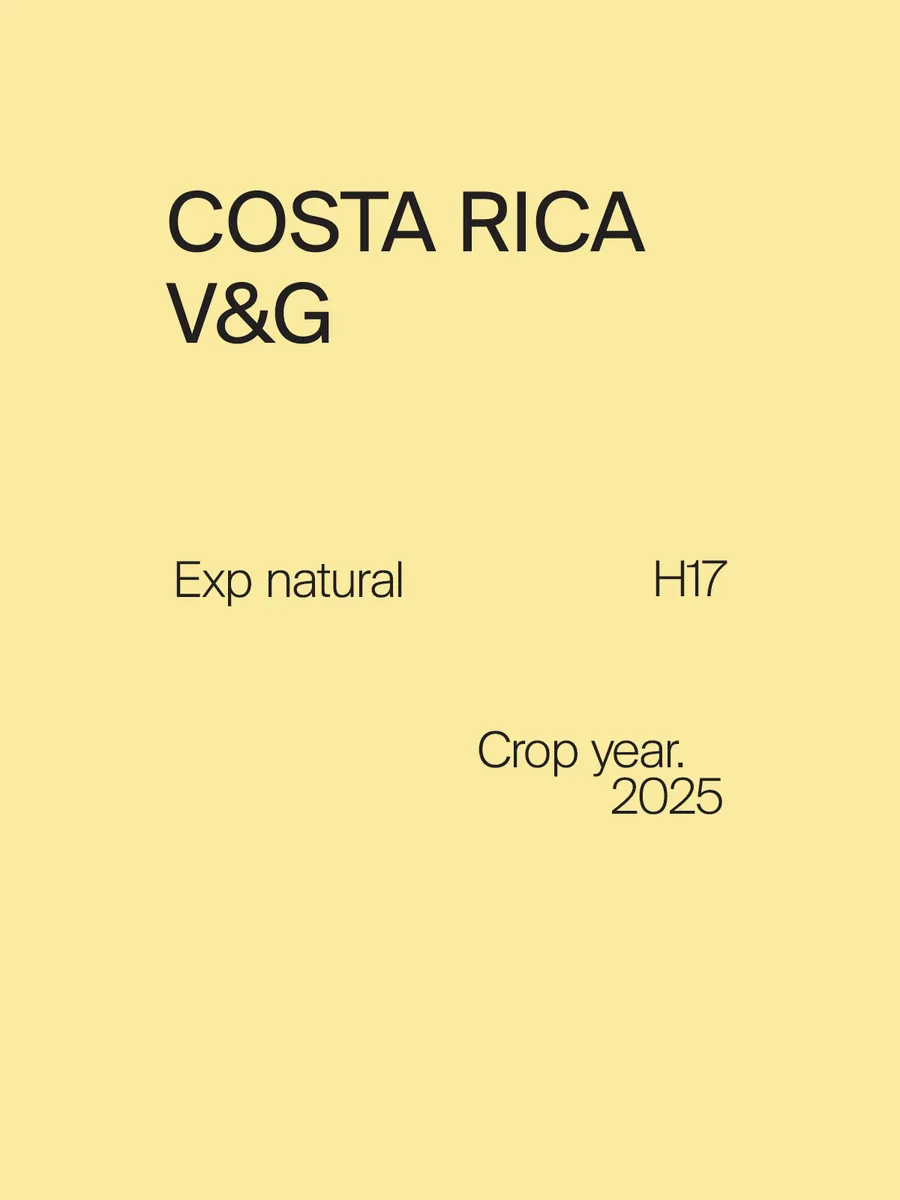 Costa Rica V&G H17 Exp Washed