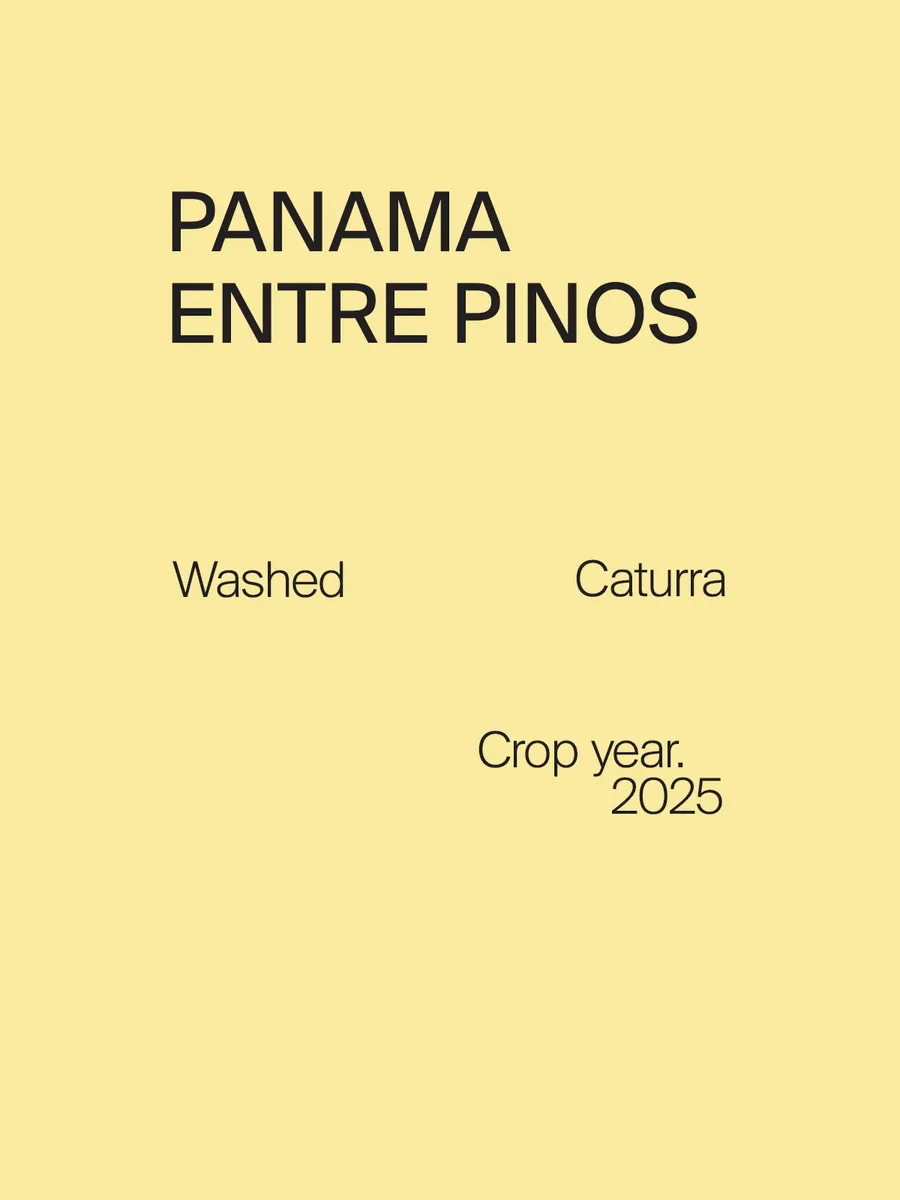 Panama Entre Pinos Caturra Washed