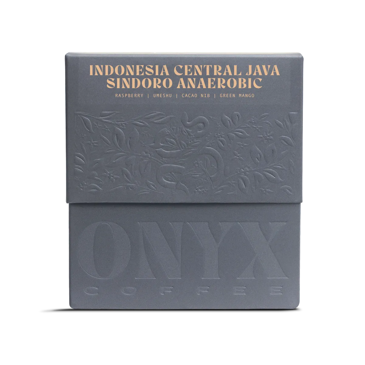 Indonesia Central Java Sindoro Anaerobic