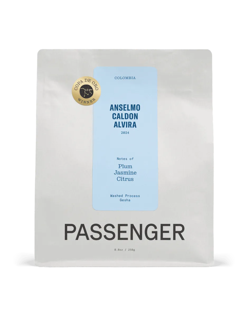 Anselmo Caldon Alvira - Washed Process - 2024