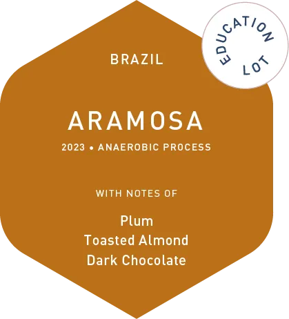 Aramosa - Anaerobic Process - Education Lot - 2023