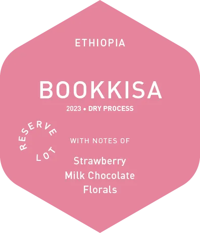 Bookkisa - Dry Process - 2023