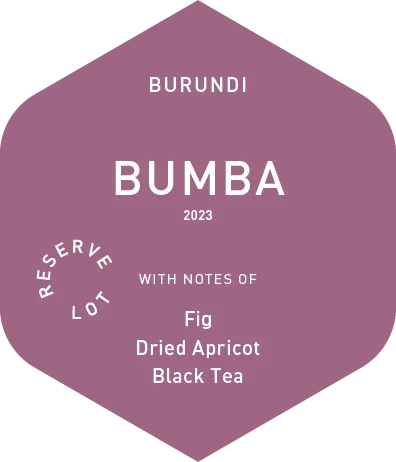 Bumba - Wet Process - 2023