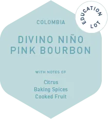Divino Niño Pink Bourbon