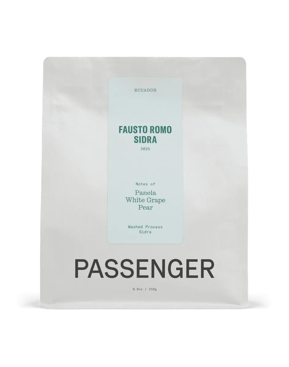 Fausto Romo Sidra - Washed Process - 2025
