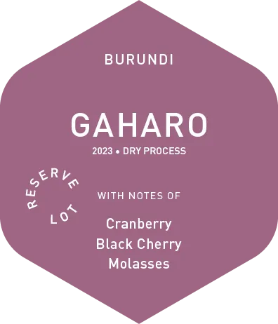 Gaharo - Dry Process - 2023