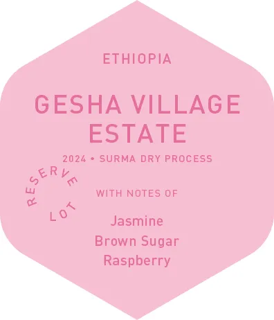 Gesha Village Estate - Surma Dry Process - 2024
