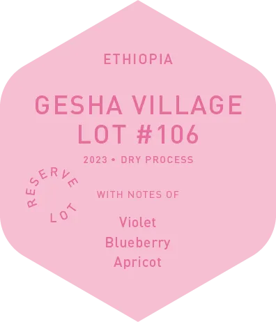 Gesha Village Lot #106 - Dry Process