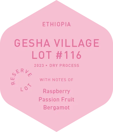 Gesha Village Lot #116 - Dry Process - 2023