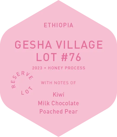 Gesha Village Lot #76 - Honey Process