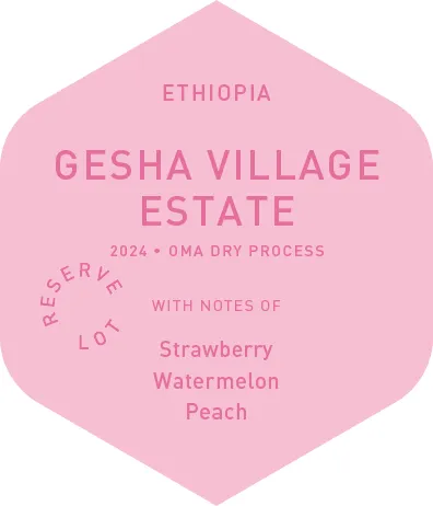 Gesha Village Estate - Oma Dry Process - 2024