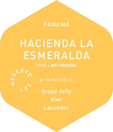 Hacienda La Esmeralda - Dry Process - 2020