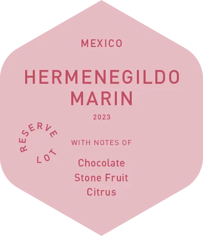 Hermenegildo Marin - Wet Process - 2023
