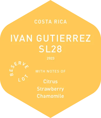 Ivan Gutierrez SL28 - Wet Process - 2023