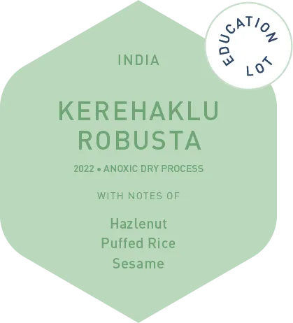 Kerehaklu Robusta - Anoxic Dry Process - 2022