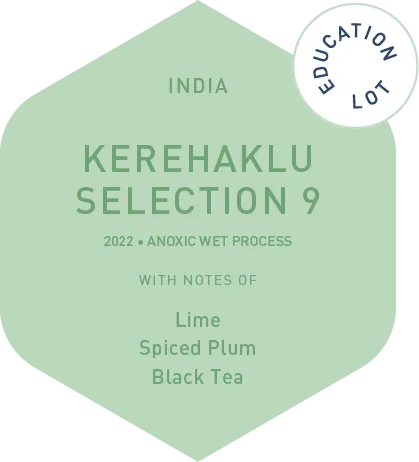 Kerehaklu Selection 9 - Anoxic Wet Process - 2022