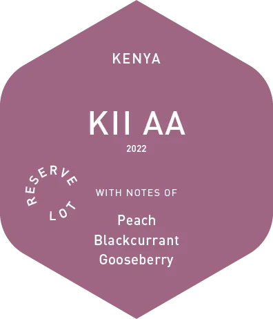 Kii AA - Wet Process - 2022