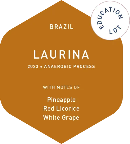 Laurina - Anaerobic Process - Education Lot - 2023