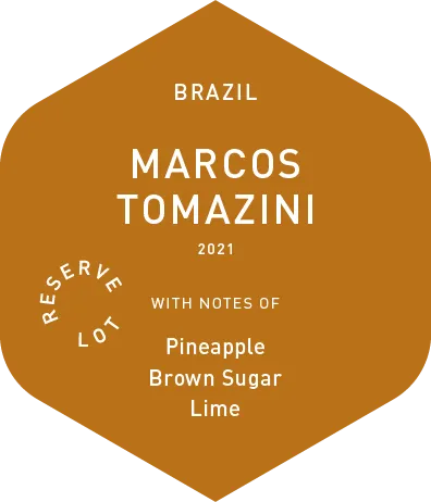 Marcos Tomazini - Wet Process - 2021