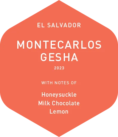 Montecarlos Gesha - Wet Process - Education Lot - 2023