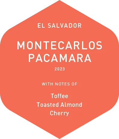 Montecarlos Pacamara - Wet Process - Education Lot - 2023
