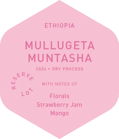 Mullugeta Muntasha - Dry Process - 2024
