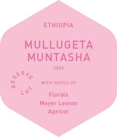 Mullugeta Muntasha - Wet Process - 2024