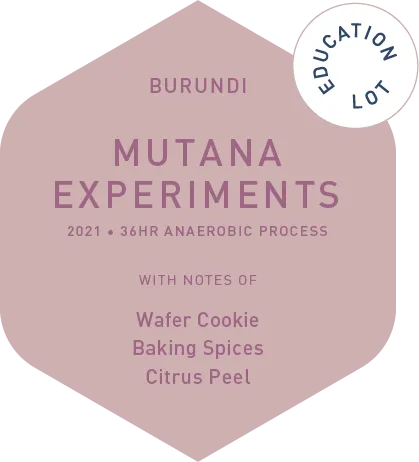 Mutana Experements - 36hr Anaerobic Process - Education Lot - 2021