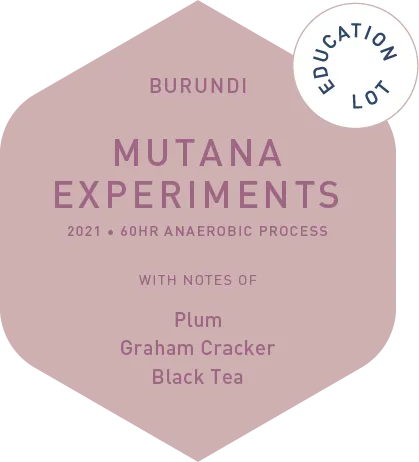 Mutana Experements - 60hr Anaerobic Process - Education Lot - 2021