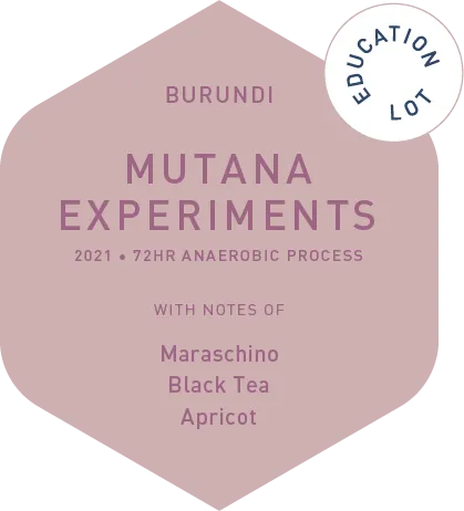 Mutana Experements - 72hr Anaerobic Process - Education Lot - 2021
