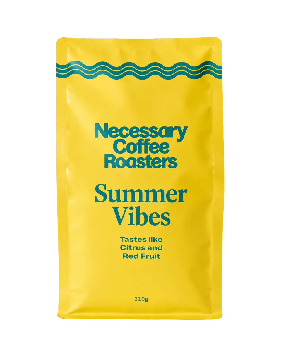 Necessary Summer Vibes 2026