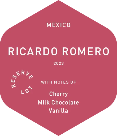 Ricardo Romero - Wet Process - 2023