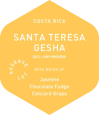 Santa Teresa Gesha - Wet Process - 2022