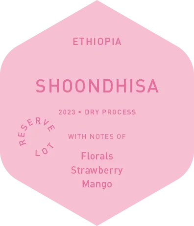 Shoondhisa - Dry Process - 2023