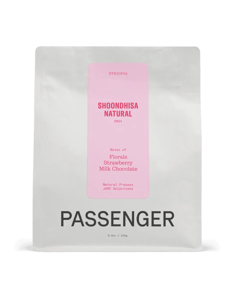 Shoondhisa - Natural Process - 2024