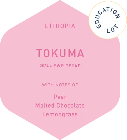 Tokuma - SWP Decaf - Education Lot - 2024
