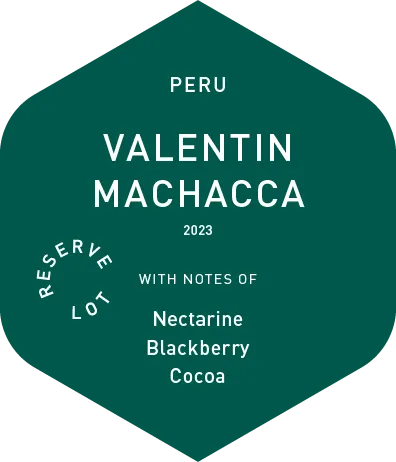 Valentin Machacca - Wet Process - 2023