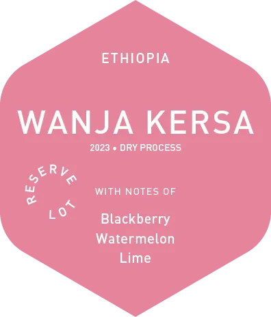 Wanja Kersa - Dry Process - 2023
