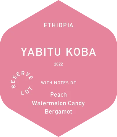 Yabitu Koba - Wet Process - 2022