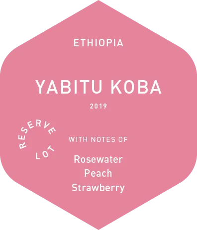 Yabitu Koba - Wet Process - 2023